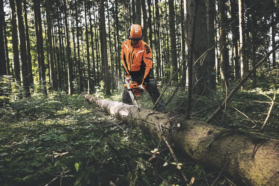 Forestal